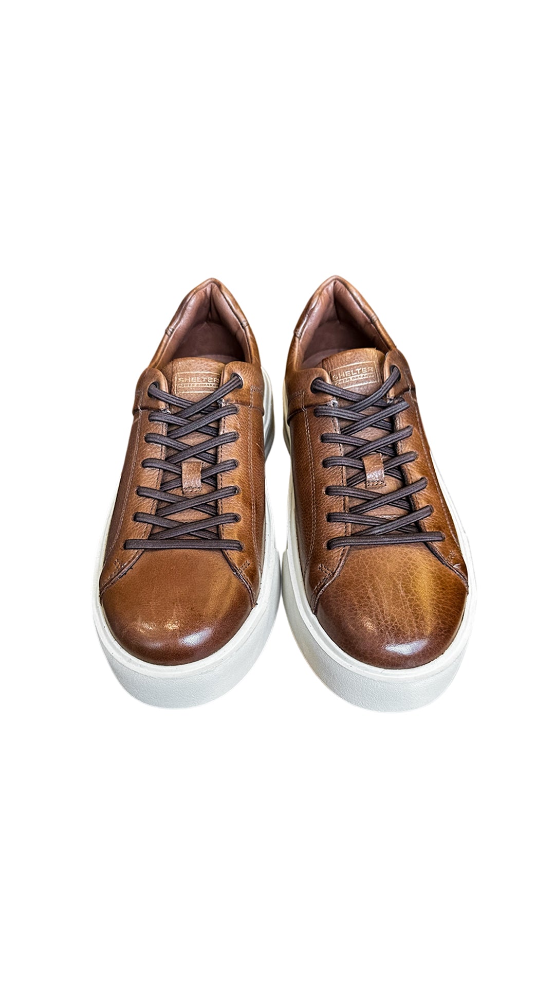 Zaptaos Low Top